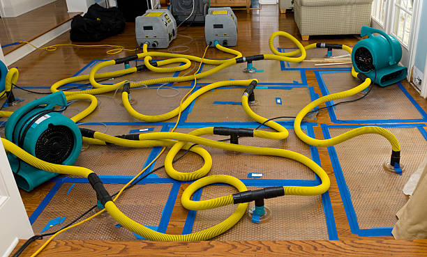 Professional Basement Flood Cleanup technician working in Minersville, PA